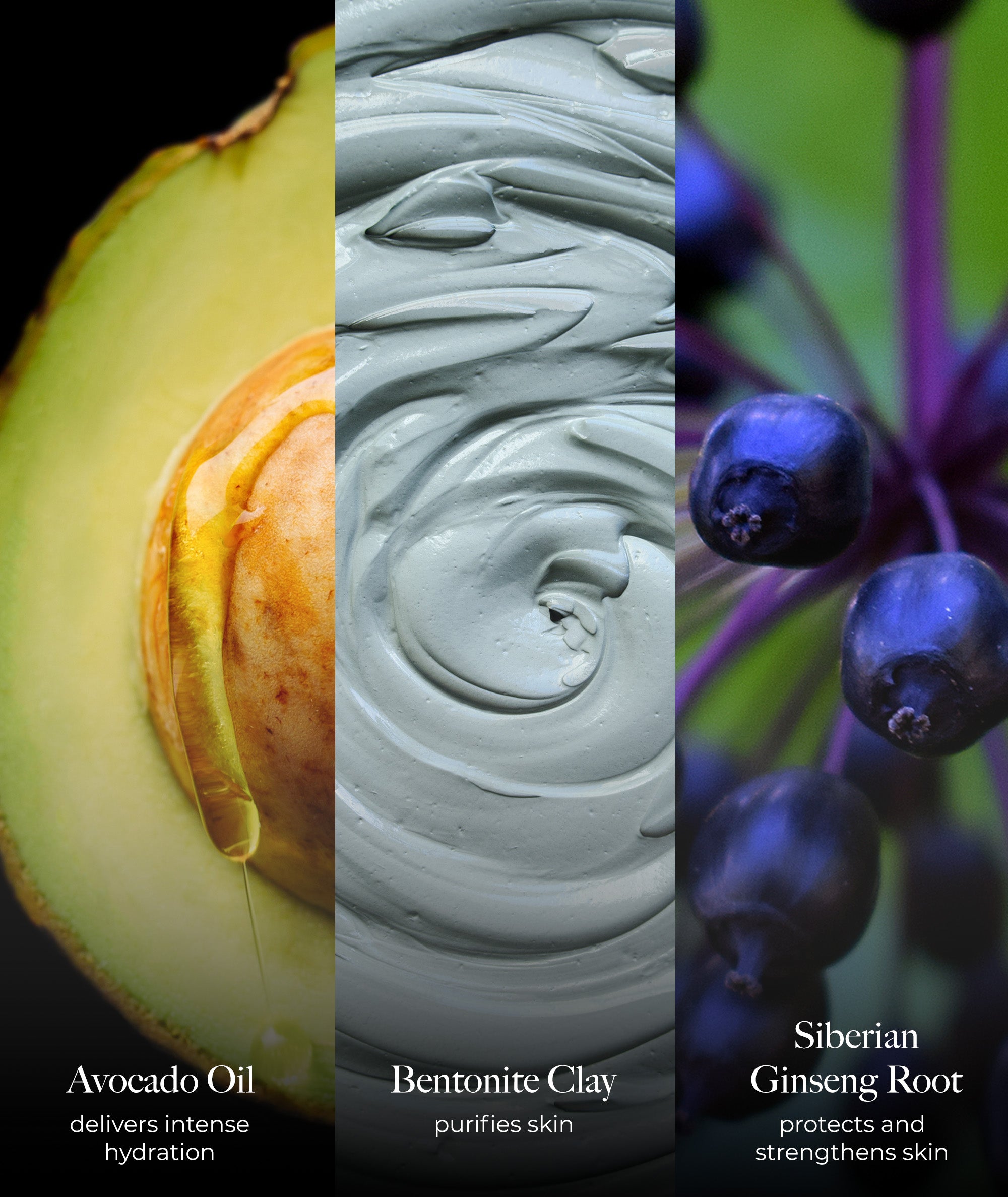 Ingredient graphic: avocado oil to deliver hydration, bentonite clay to purify skin, Siberian ginseng root to protect
