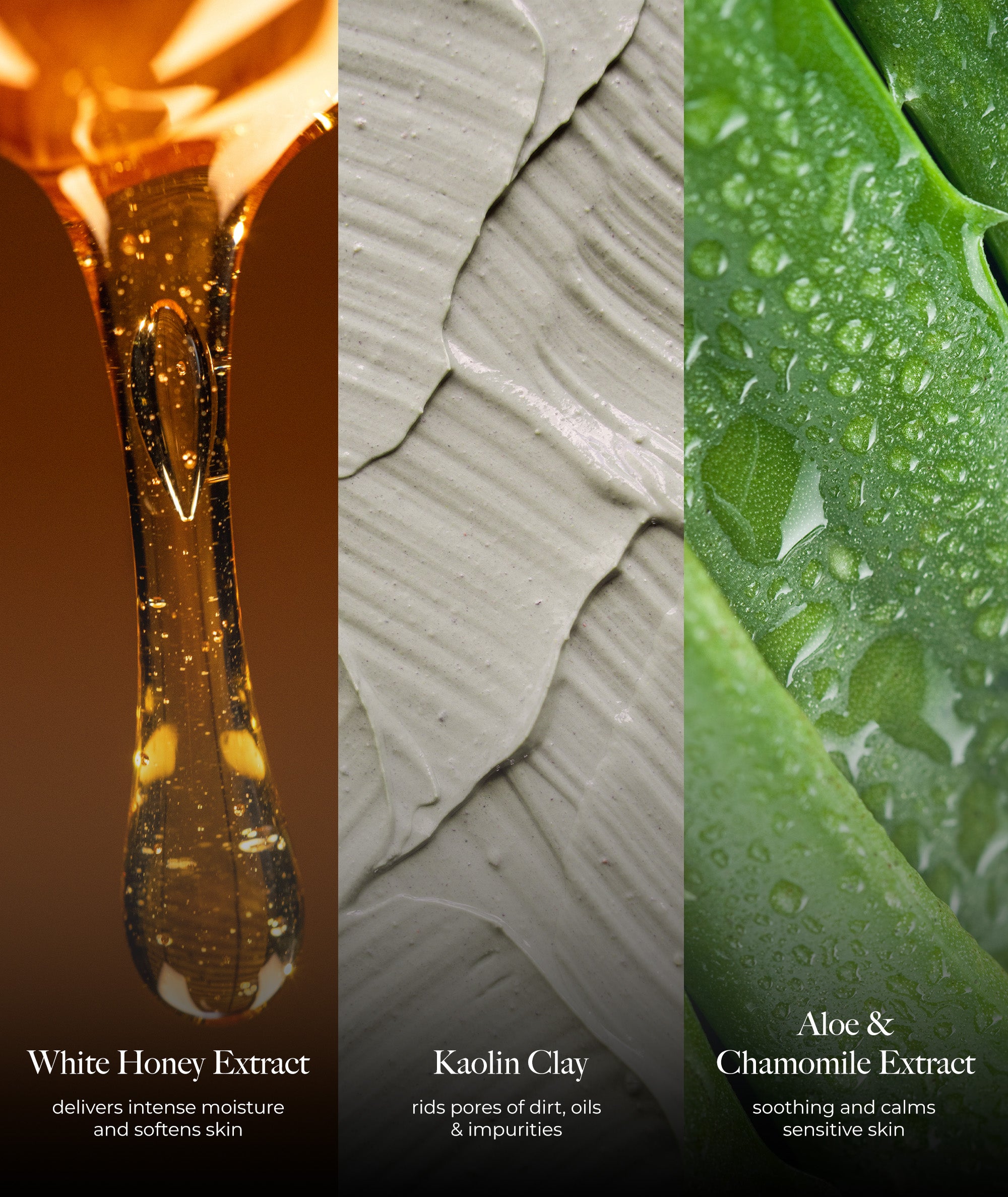 Ingredient graphic: White honey extract to deliver moisture, kaolin clay to detoxify pores, aloe and chamomile to calm skin