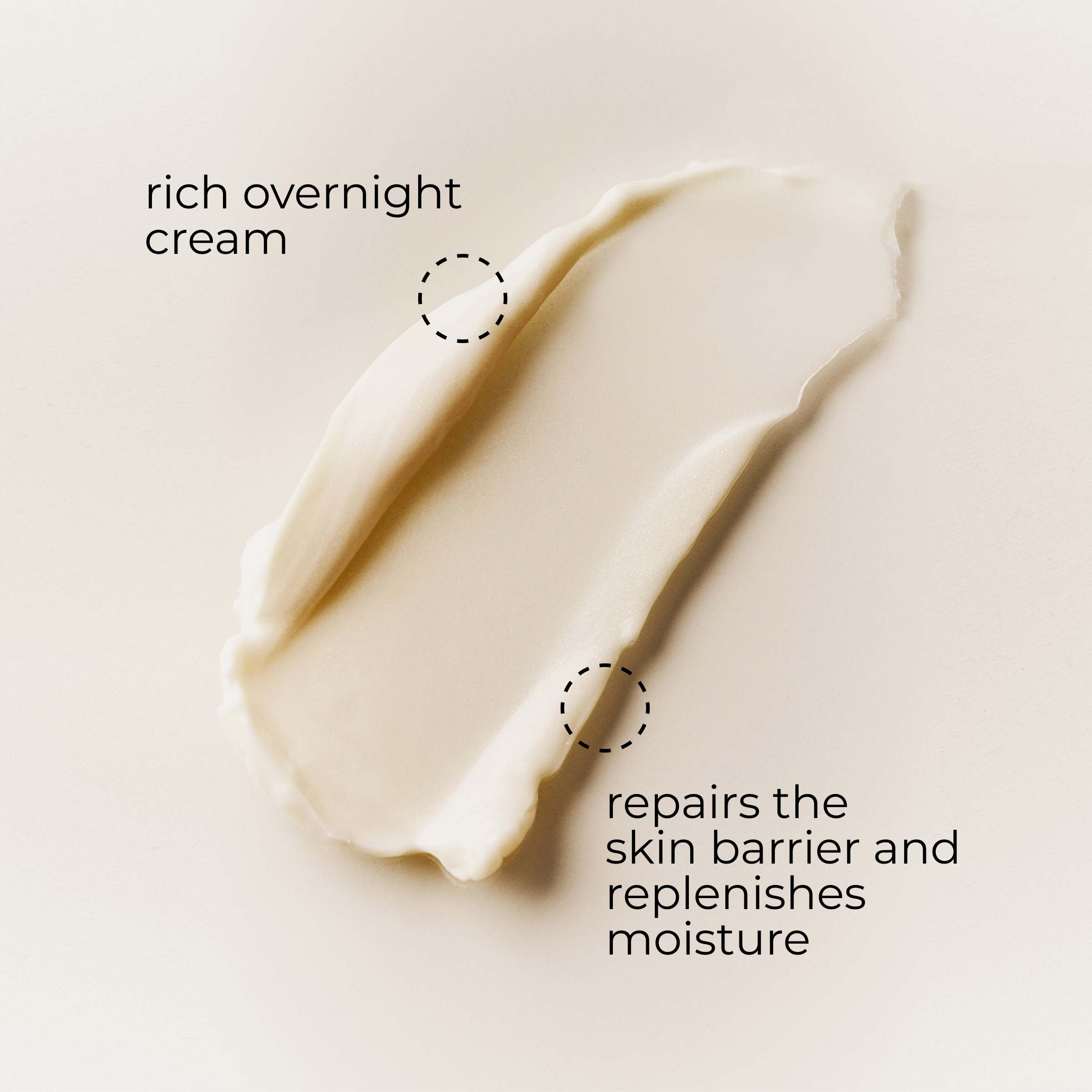 Radiante Renew & Restore Night Cream – Borghese